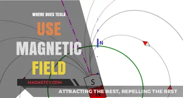 Tesla's Magnetic Field Applications: Unlocking Electric Vehicle Innovation