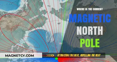 Exploring Earth's Magnetic North: A Journey to the Arctic