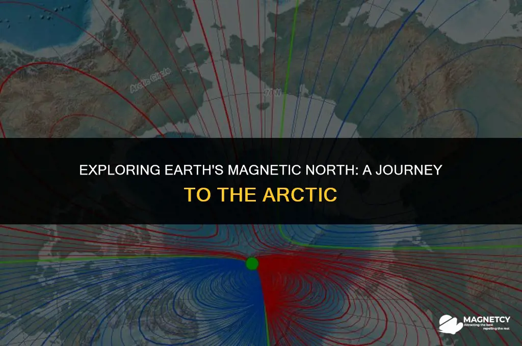 where is the current magnetic north pole
