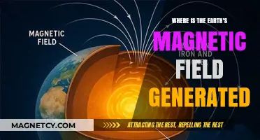 Unveiling the Origins of Earth's Magnetic Field: A Journey to the Core