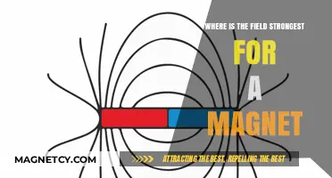 Exploring Magnetism: Where the Field Strength Reaches Its Peak