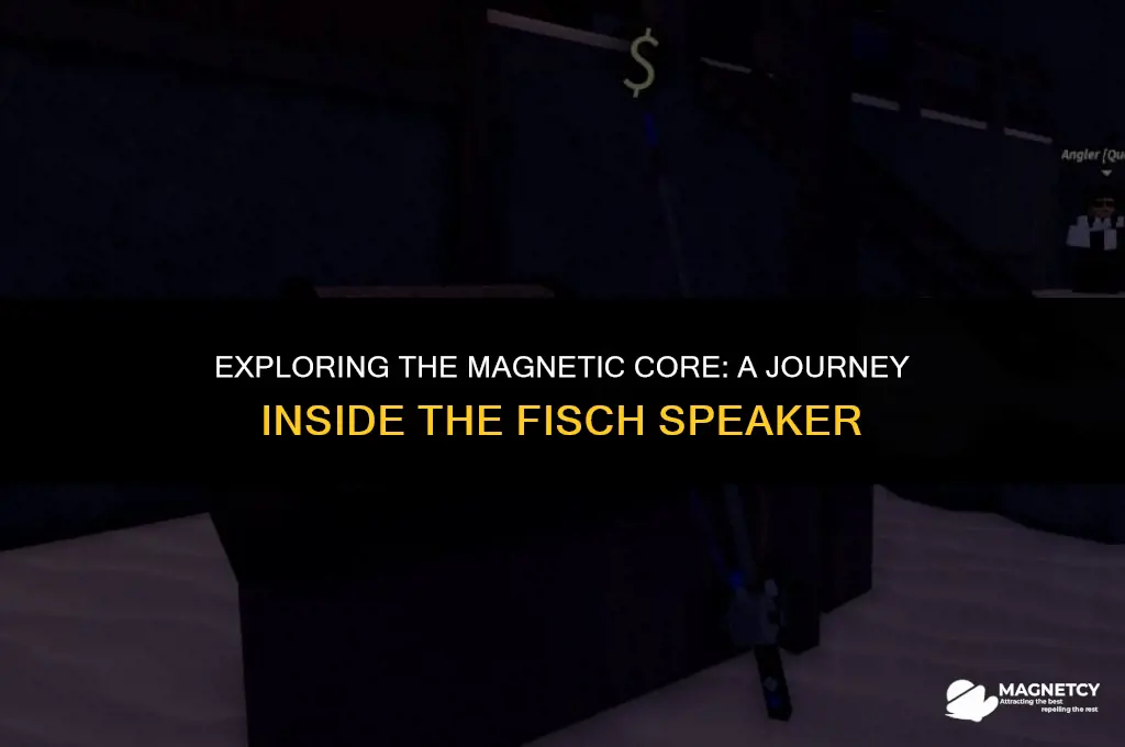 where is the magnet rod in fisch