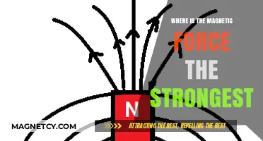 Exploring Magnetism: Where the Force is Strongest