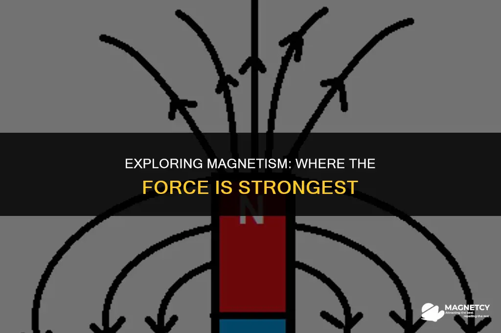 where is the magnetic force the strongest