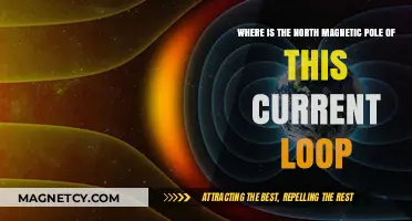 Exploring the Magnetic North: Unveiling the Current Loop's Core