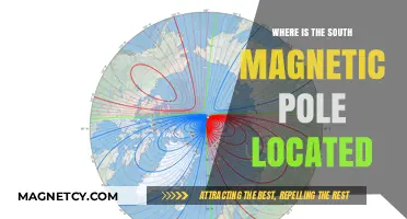 Exploring Earth's Magnetic Mysteries: The South Pole's Hidden Location