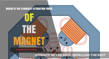 Magnetic Powerhouse: Unveiling the Strongest Attraction Force of Magnets