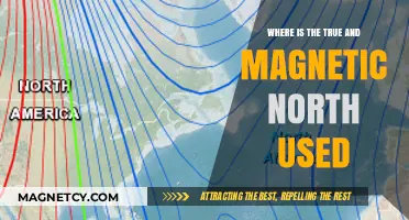 True vs. Magnetic North: Understanding Their Unique Applications and Uses