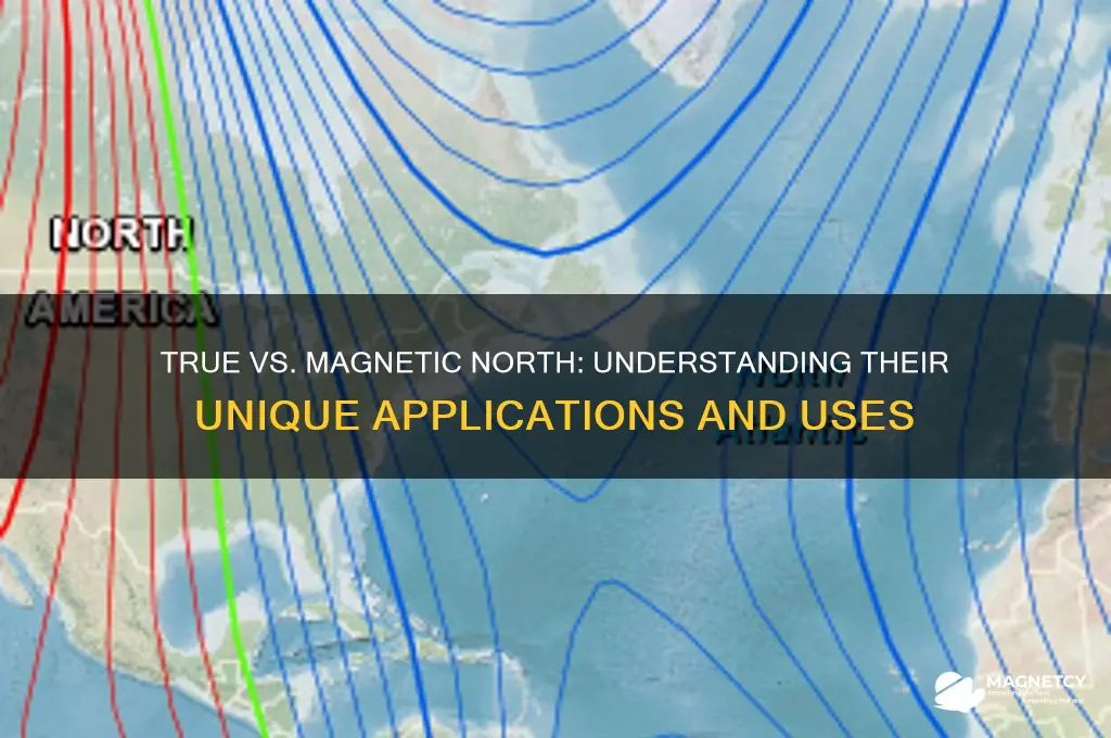 where is the true and magnetic north used