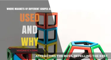 Magnetic Applications: Exploring Diverse Shapes and Their Unique Uses