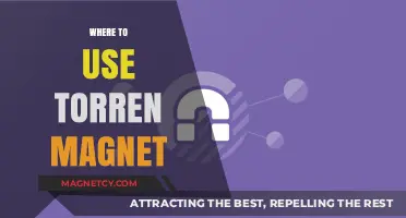 Where to Use Torrent Magnets: A Comprehensive Guide for Beginners