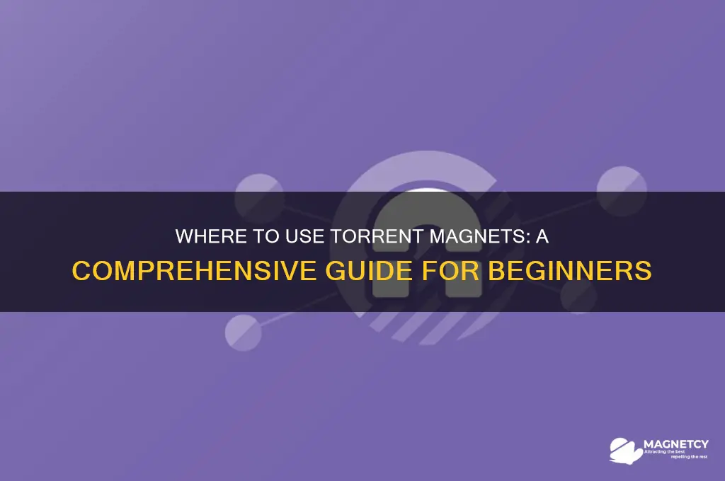 where to use torren magnet
