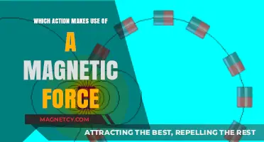 Magnetic Force in Action: Exploring Everyday Applications and Uses