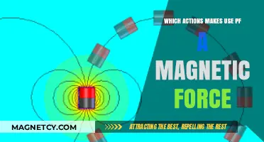 Magnetic Force in Action: Exploring Everyday Applications and Uses