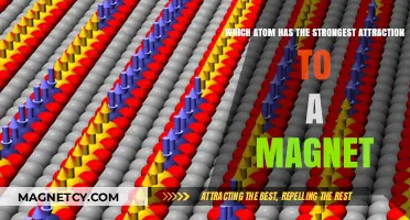 Unveiling the Atom with the Strongest Magnetic Attraction: A Deep Dive