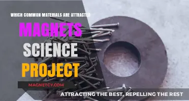 Magnetic Materials: Discovering Which Common Items Attract Magnets