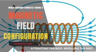 Understanding Magnetic Fields: A Visual Guide to Correct Diagrams
