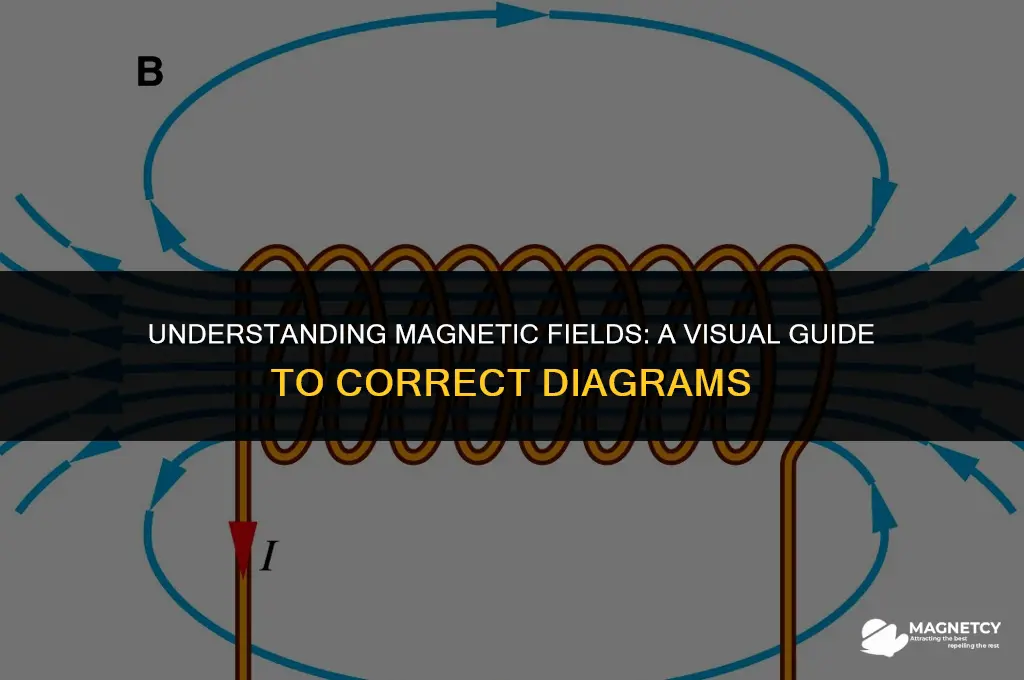 which diagram correctly shows a magnetic field configuration