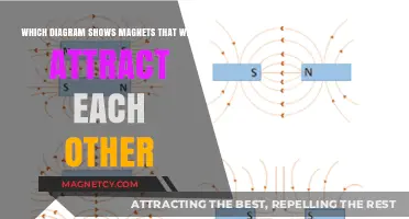 Magnetic Attraction: Identifying Diagrams of Magnets That Will Attract