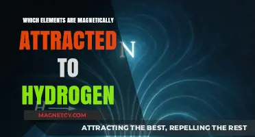 Hydrogen's Magnetic Allure: Unveiling Elements Drawn to Its Unique Pull