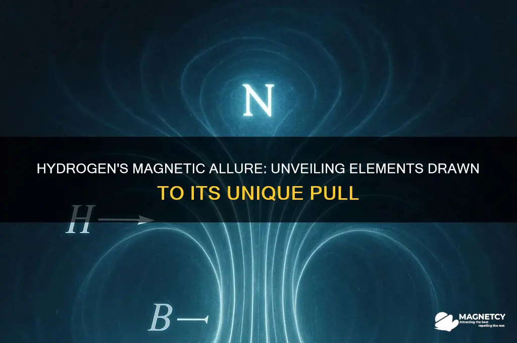 which elements are magnetically attracted to hydrogen