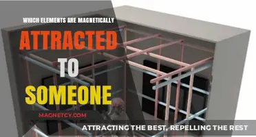 Magnetic Attraction: Elements That Respond to Human Presence