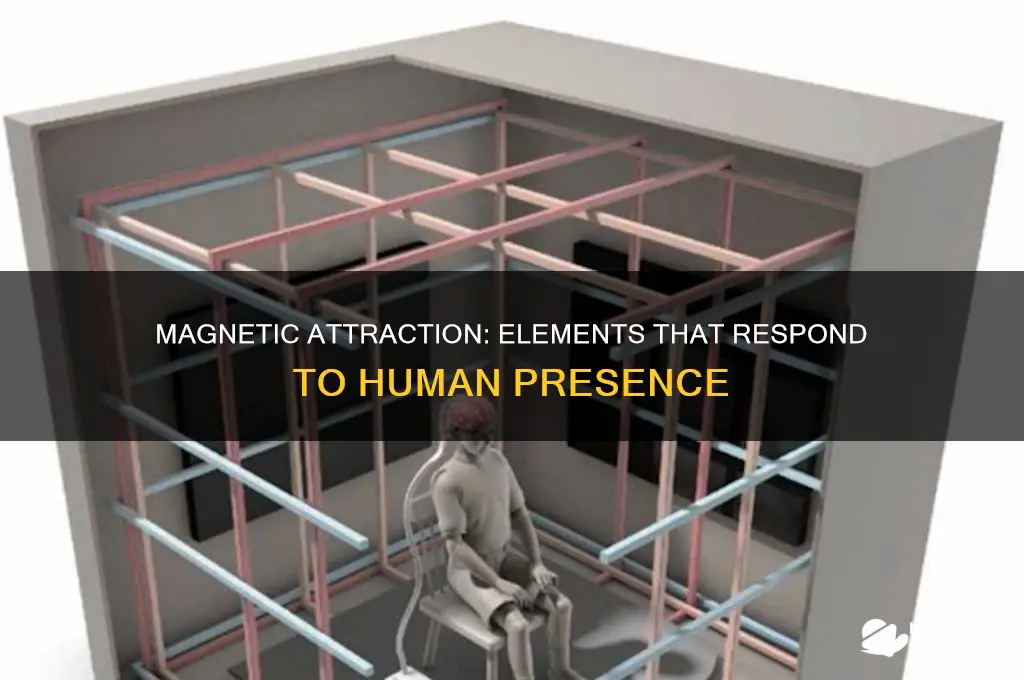 which elements are magnetically attracted to someone