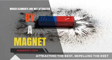 Non-Magnetic Elements: Unveiling Materials Unaffected by Magnetic Forces