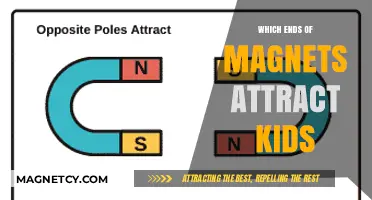 Magnetic Attraction: Understanding Which Magnet Ends Fascinate Curious Kids