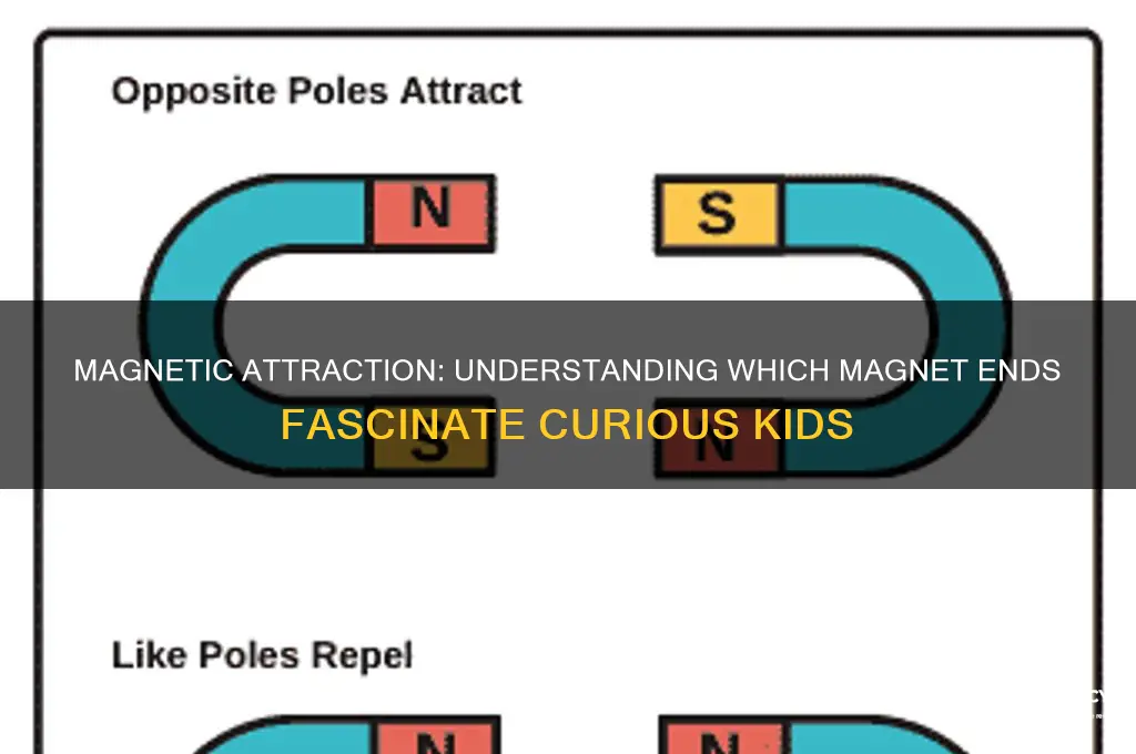 which ends of magnets attract kids