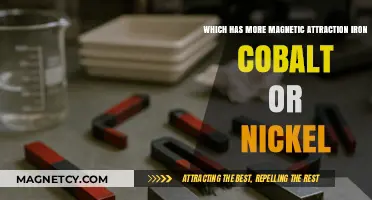 Iron, Cobalt, or Nickel: Which Metal Has Stronger Magnetic Attraction?