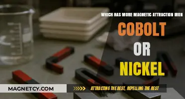 Comparing Magnetic Strength: Iron, Cobalt, or Nickel – Which Attracts More?