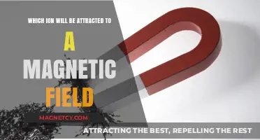 Magnetic Attraction: Which Ions Respond to Magnetic Fields?