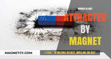 Unveiling Materials That Resist Magnetic Attraction: A Comprehensive Guide