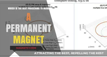 Crafting Permanence: The Optimal Procedure for Creating a Permanent Magnet
