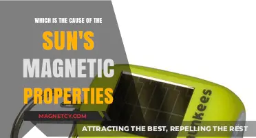 Unveiling the Solar Dynamo: The Cause of the Sun's Magnetic Properties