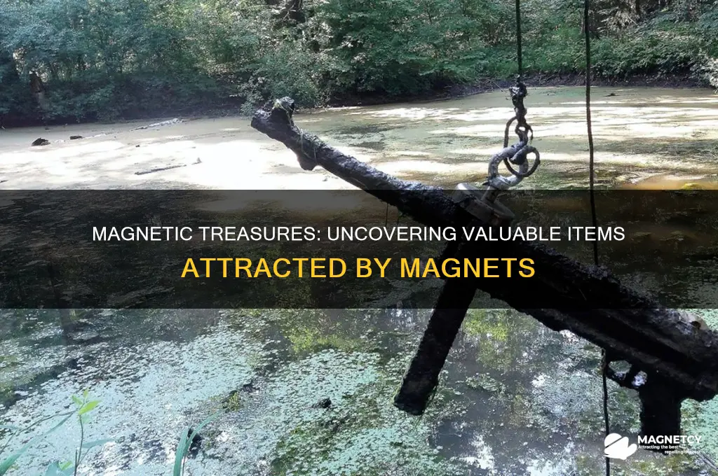which is worth money when using a magnet