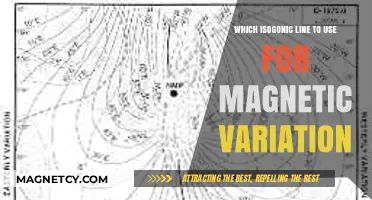 Choosing the Right Isogonic Line for Accurate Magnetic Variation