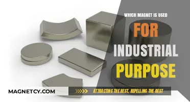 Industrial Magnets: Types and Applications for Heavy-Duty Use