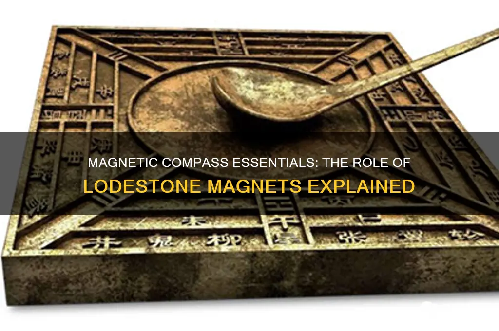 which magnet is used in magnetic compass