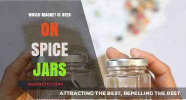 Neodymium Magnets: The Secret Behind Organized Spice Jar Storage