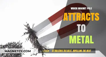 Magnetic Poles and Metal: Understanding Attraction in Everyday Materials