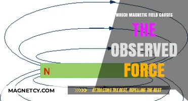 Unveiling the Magnetic Mystery: What Field Triggers the Force We See?