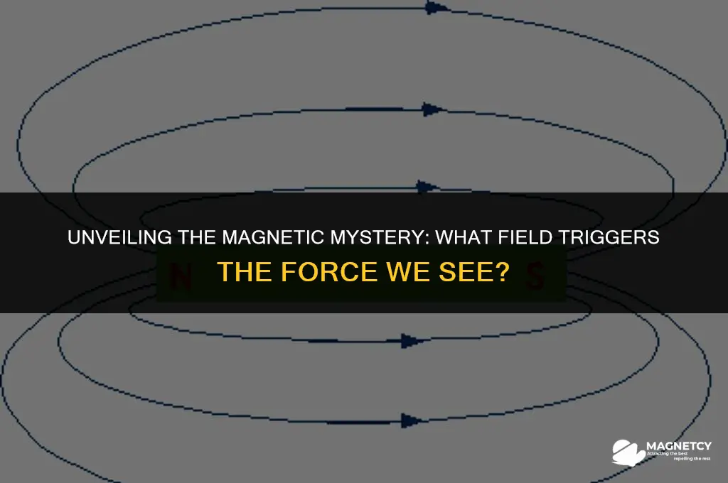 which magnetic field causes the observed force