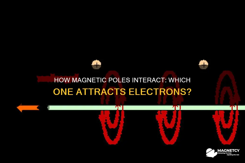 which magnetic pole attracts electrons