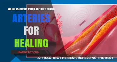 Magnetic Healing: Which Poles Face Arteries for Optimal Recovery?