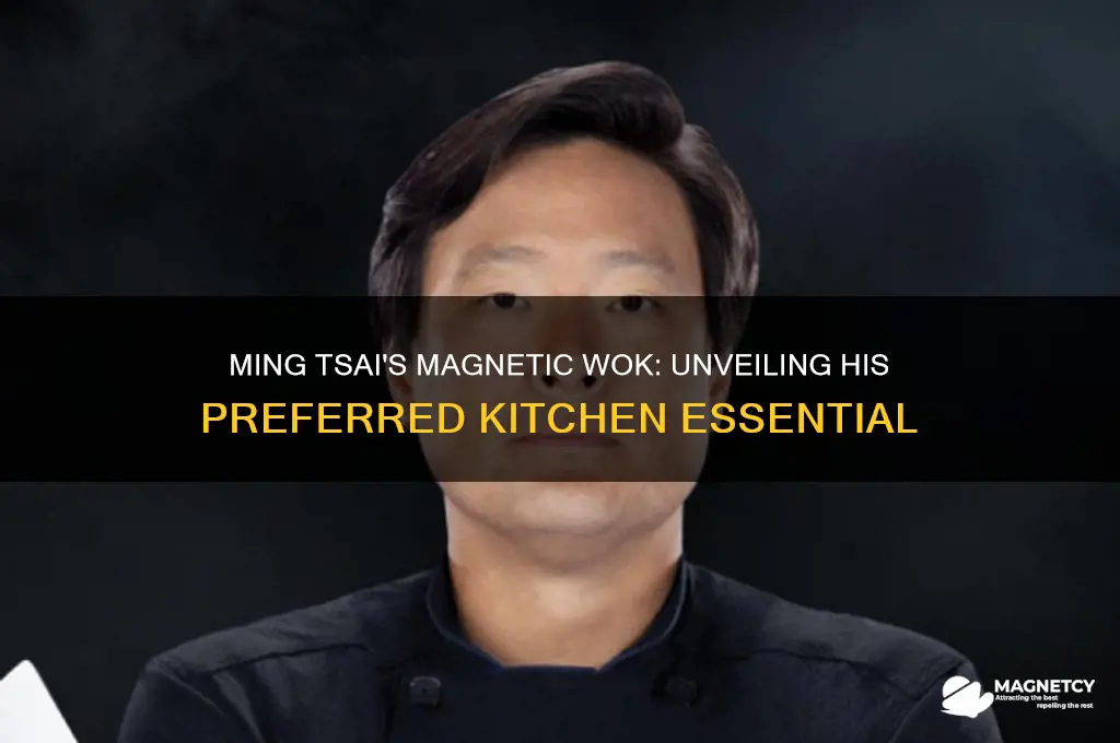 which magnetic wok does ming tsai use