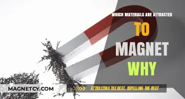 Magnetic Materials: Understanding What Attracts to Magnets and Why