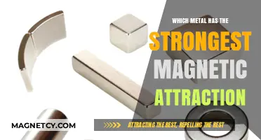 Unveiling the Metal with the Most Powerful Magnetic Attraction
