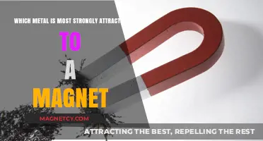 Magnetic Metals: Discovering the Strongest Attraction to Magnets